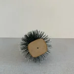 درخت مینی کاج نوک برفی2