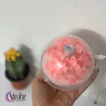 دستگاه ۳ کاره ی بخور سرد شکوفه4