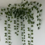 ریسه برگی طرح پاپیتال ریز2