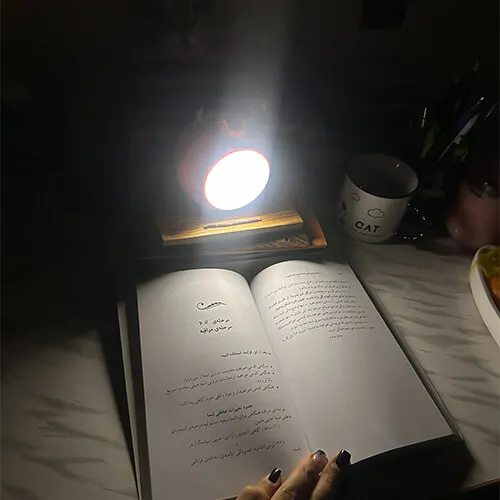 چراغ مطالعه گوزنی4